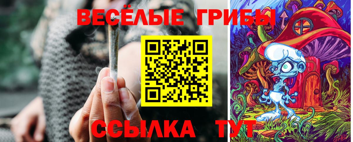 Псилоцибиновые грибы мухоморы Волжск