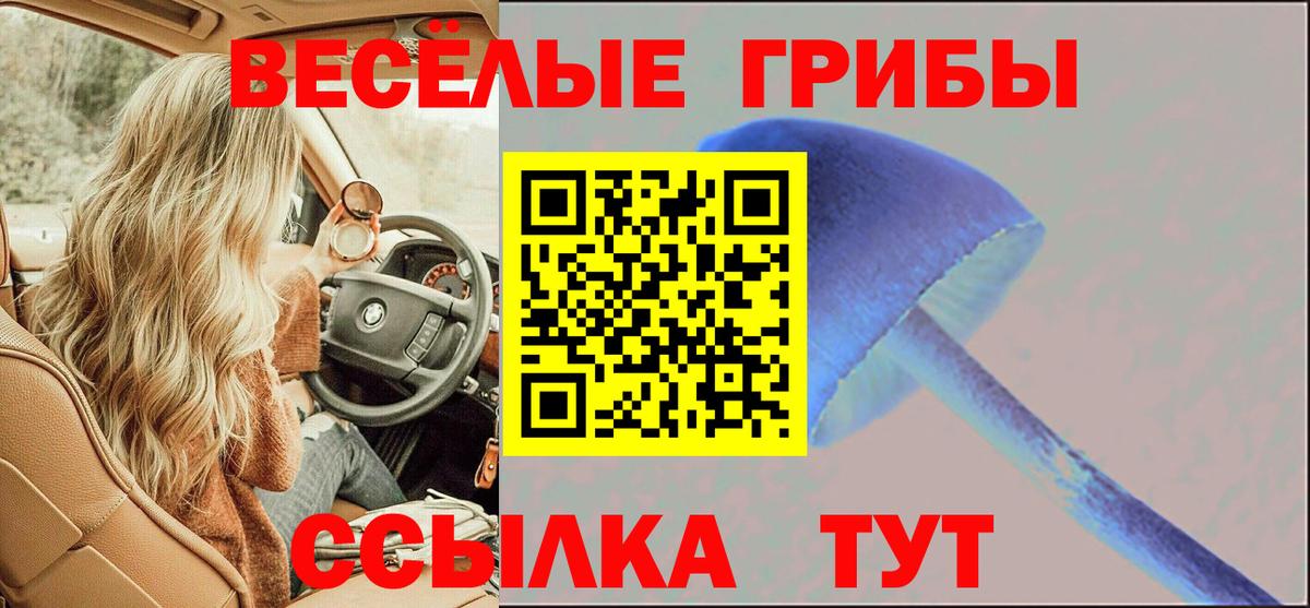 Галлюциногенные грибы Psilocybe  Вход с VPN  Псилоцибиновые грибы прущие грибы  Волжск 